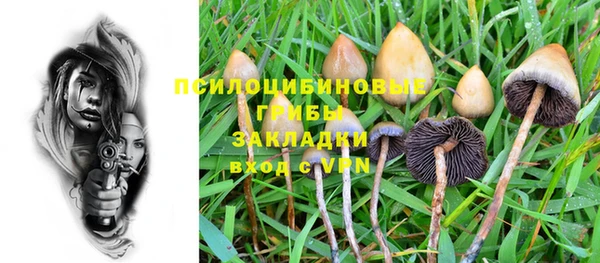 apvp Зерноград