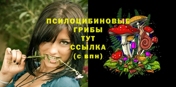 бошки Зеленодольск