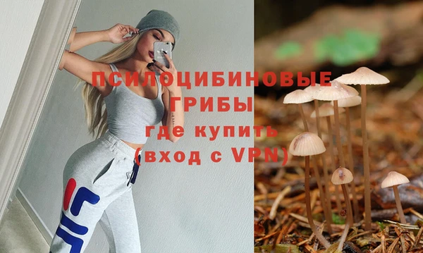 бошки Зеленодольск