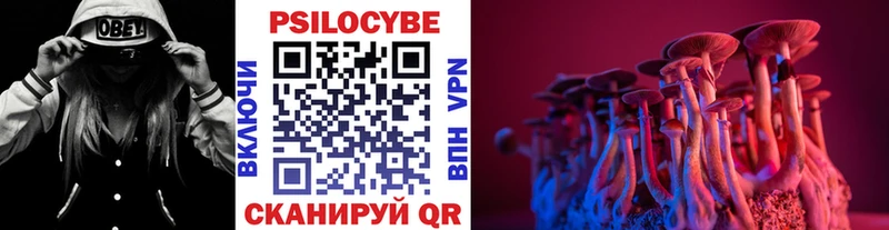 Галлюциногенные грибы Psilocybine cubensis  Солнечногорск 