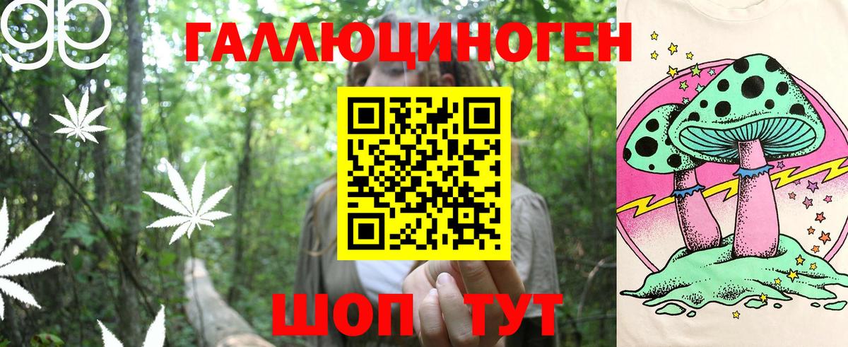 Псилоцибиновые грибы GOLDEN TEACHER Солнечногорск