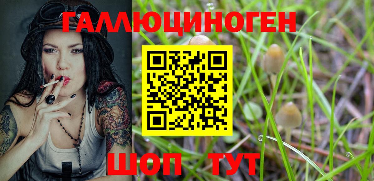 Псилоцибиновые грибы мицелий  Вход с VPN  Солнечногорск 